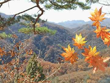 易名域名交易平台-域名一口价买卖交易-过期域名抢注 
